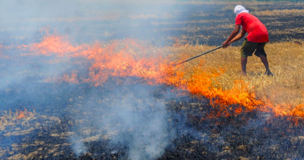 Stubble burning by farmers in Delhi