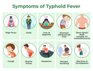 Thyphoid fever 2