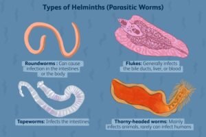 Worm infections