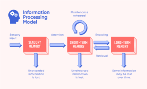 Information, short, long term