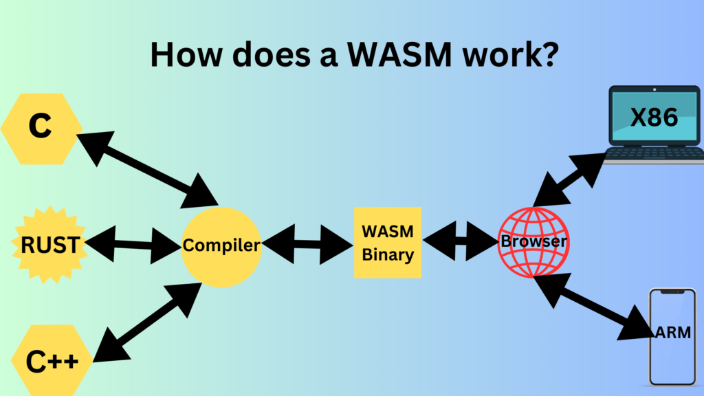 how does a WASM work?