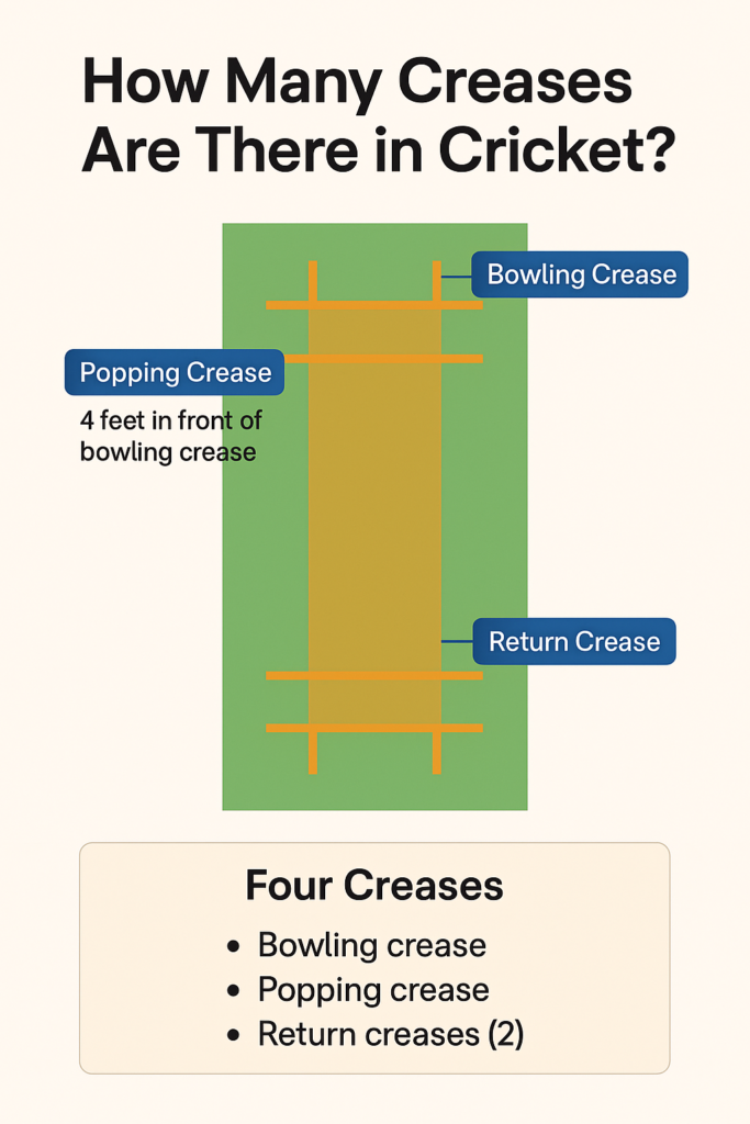 How many creases are there in cricket?