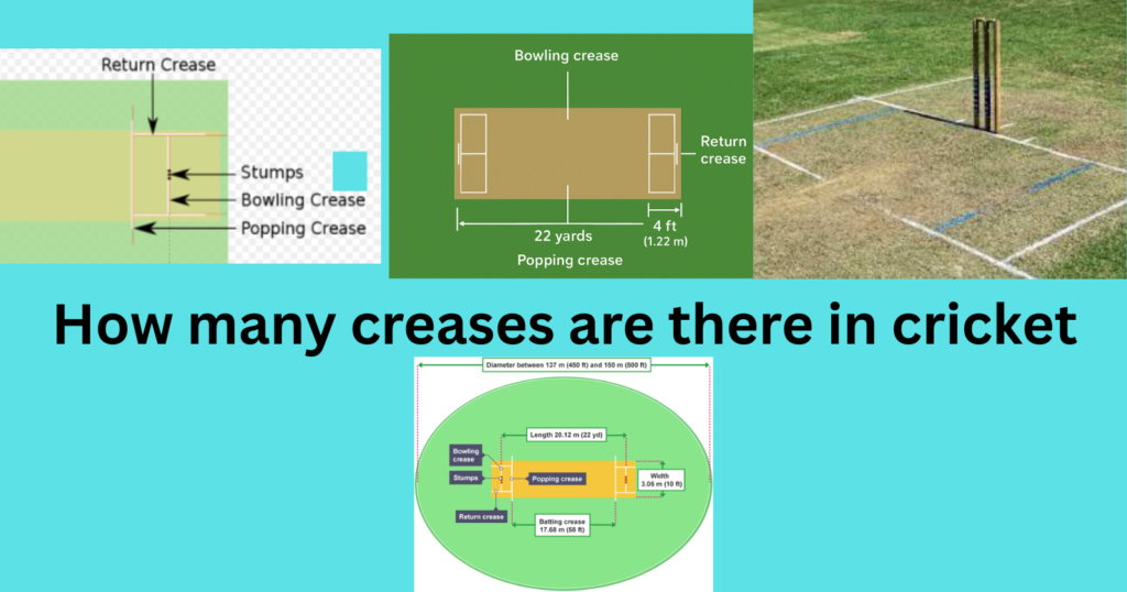 Number of creases in cricket

